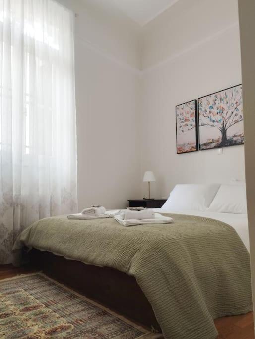 אתונה Calliope'S Neoclassical Home In The Heart Of Plaka מראה חיצוני תמונה